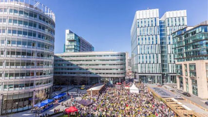 1531969353113879.jpg 7.jpg