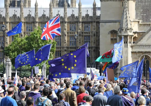 1532081438213437.jpg 11.jpg