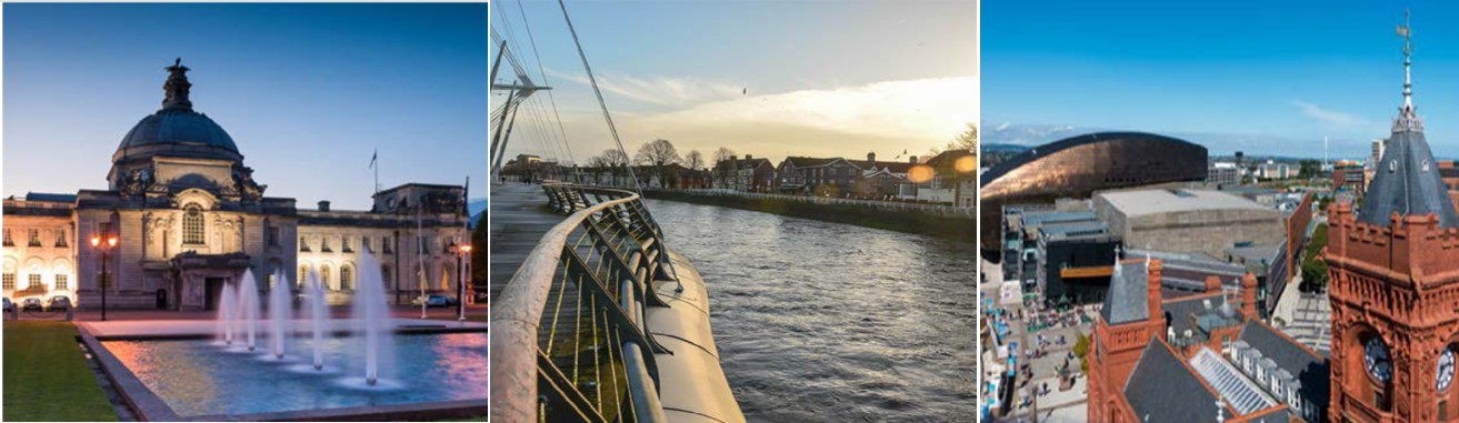 1547535929904441.jpg 3.jpg.jpg