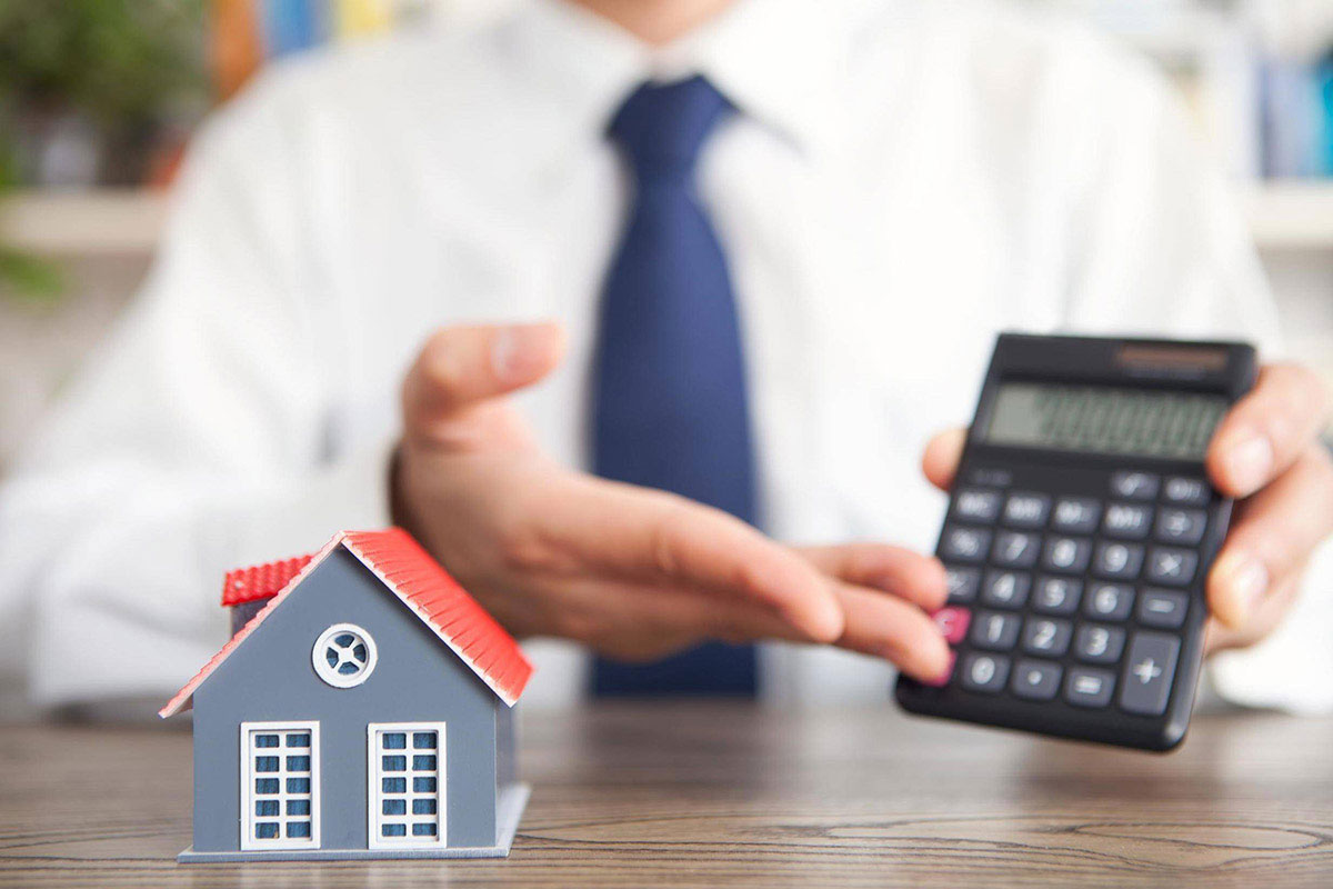 1647426579.jpg 5.png